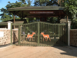 Impala Sanctuary